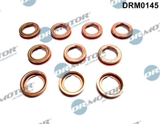 DR.MOTOR AUTOMOTIVE Уплотнительное кольцо, резьбовая пробка маслосливн DRM0145